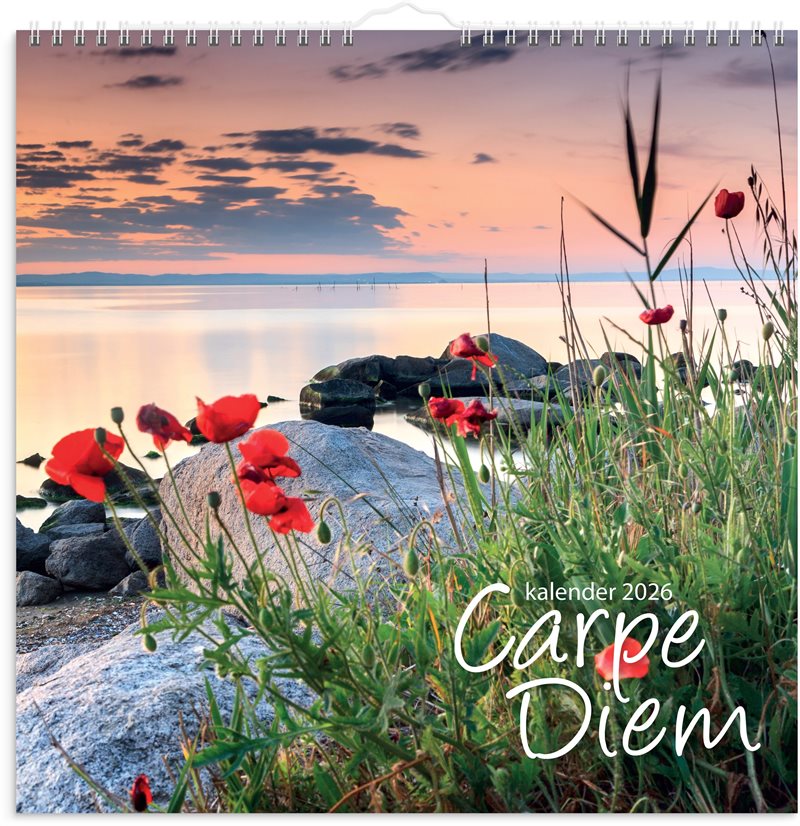 Väggkalender 2026 Carpe Diem
