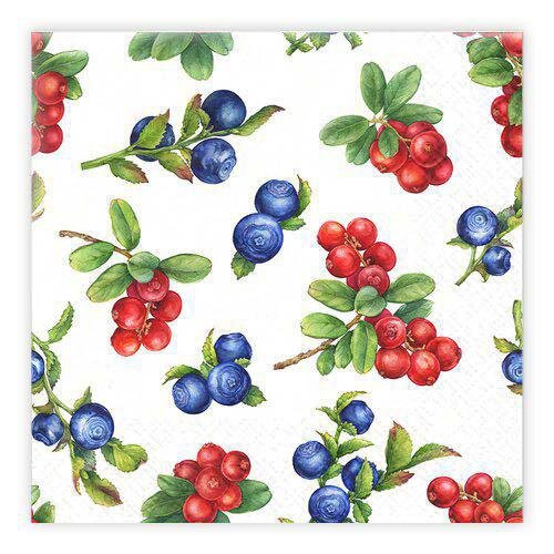 Matservetter 20p Blåbär / Lingon