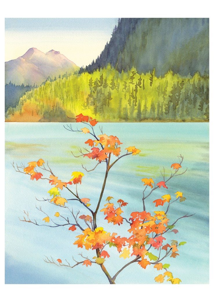 Vine Maple Notecard