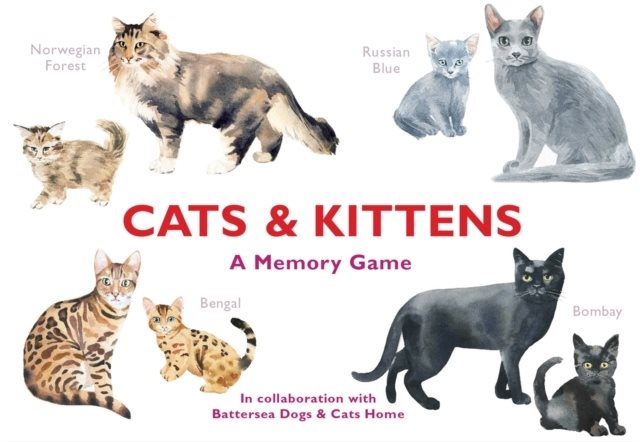 Cats & Kittens: A Memory Game