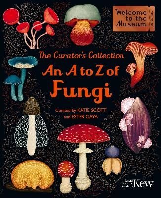 The Curator