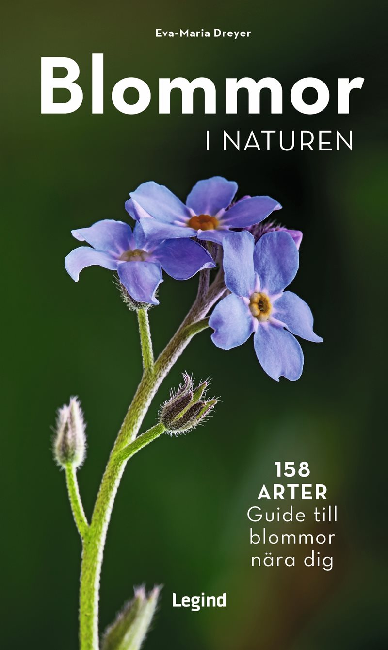 Blommor i naturen : 158 arter, guide til blommor nära dig