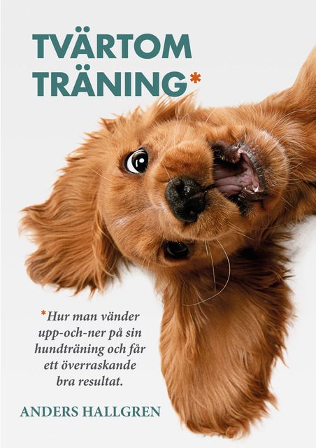 Tvärtomträning: Hur man vänder upp-och-ner på sin hundträning och får ett överraskande bra resultat