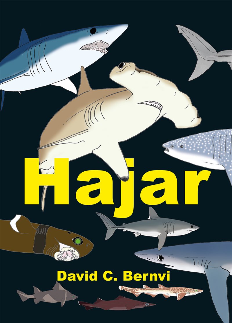 Hajar : en spännande faktabok