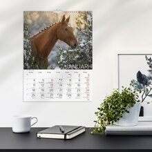 Väggkalender 2027 Stora Hästkalendern