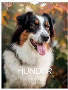 Väggkalender 2026 Stora Hundkalendern